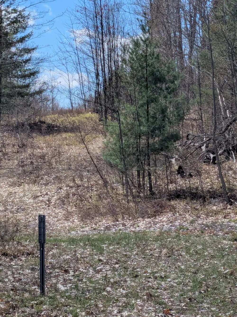 20179 Coates Highway Brethren, MI 49619