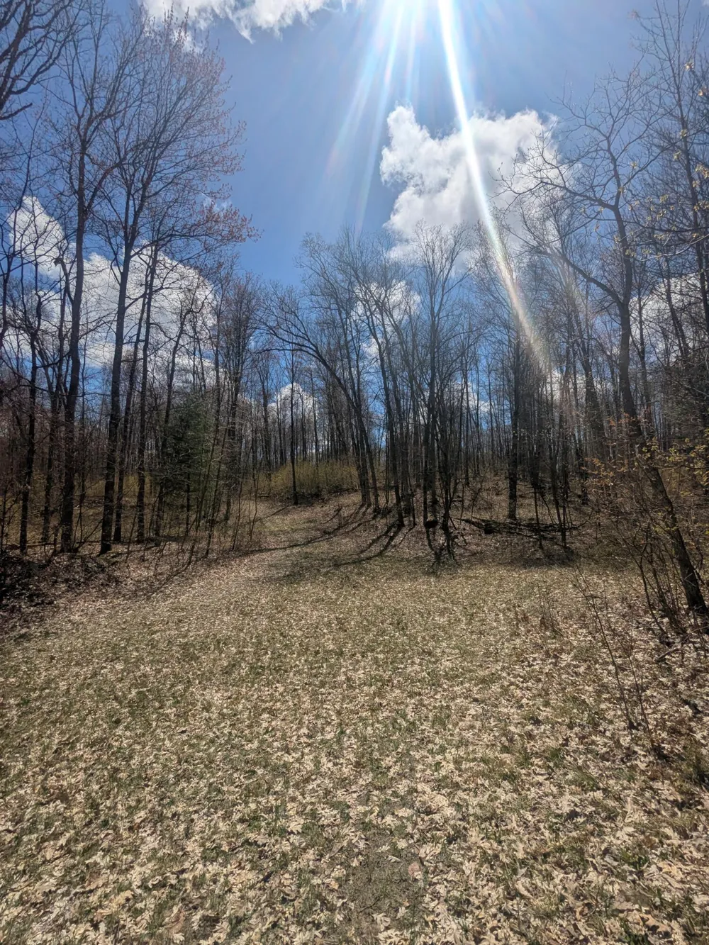 20179 Coates Highway Brethren, MI 49619