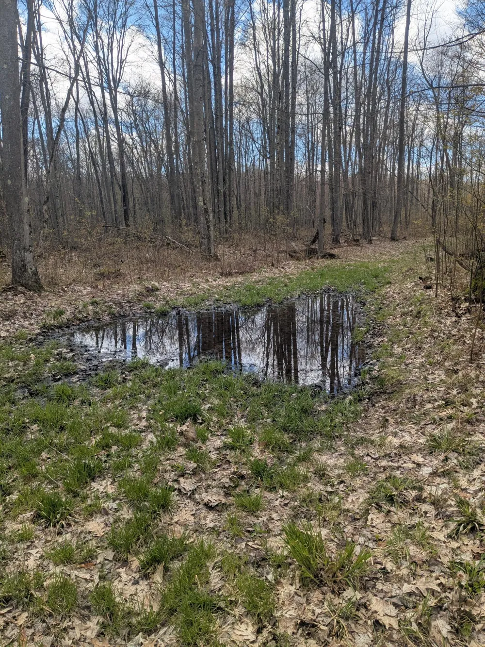 20179 Coates Highway Brethren, MI 49619
