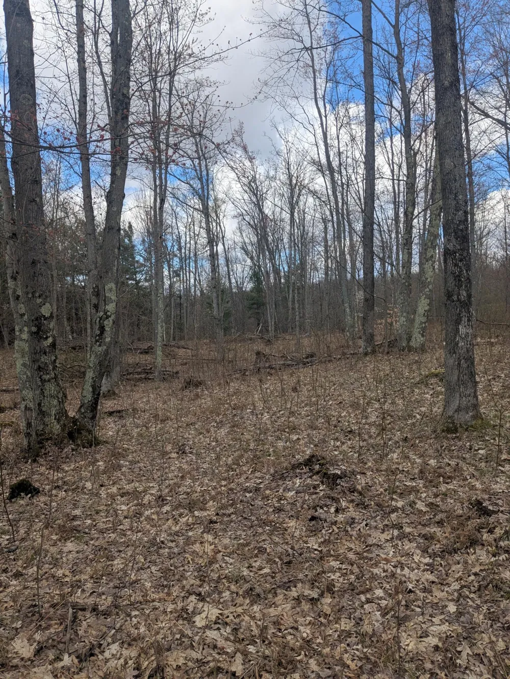 20179 Coates Highway Brethren, MI 49619