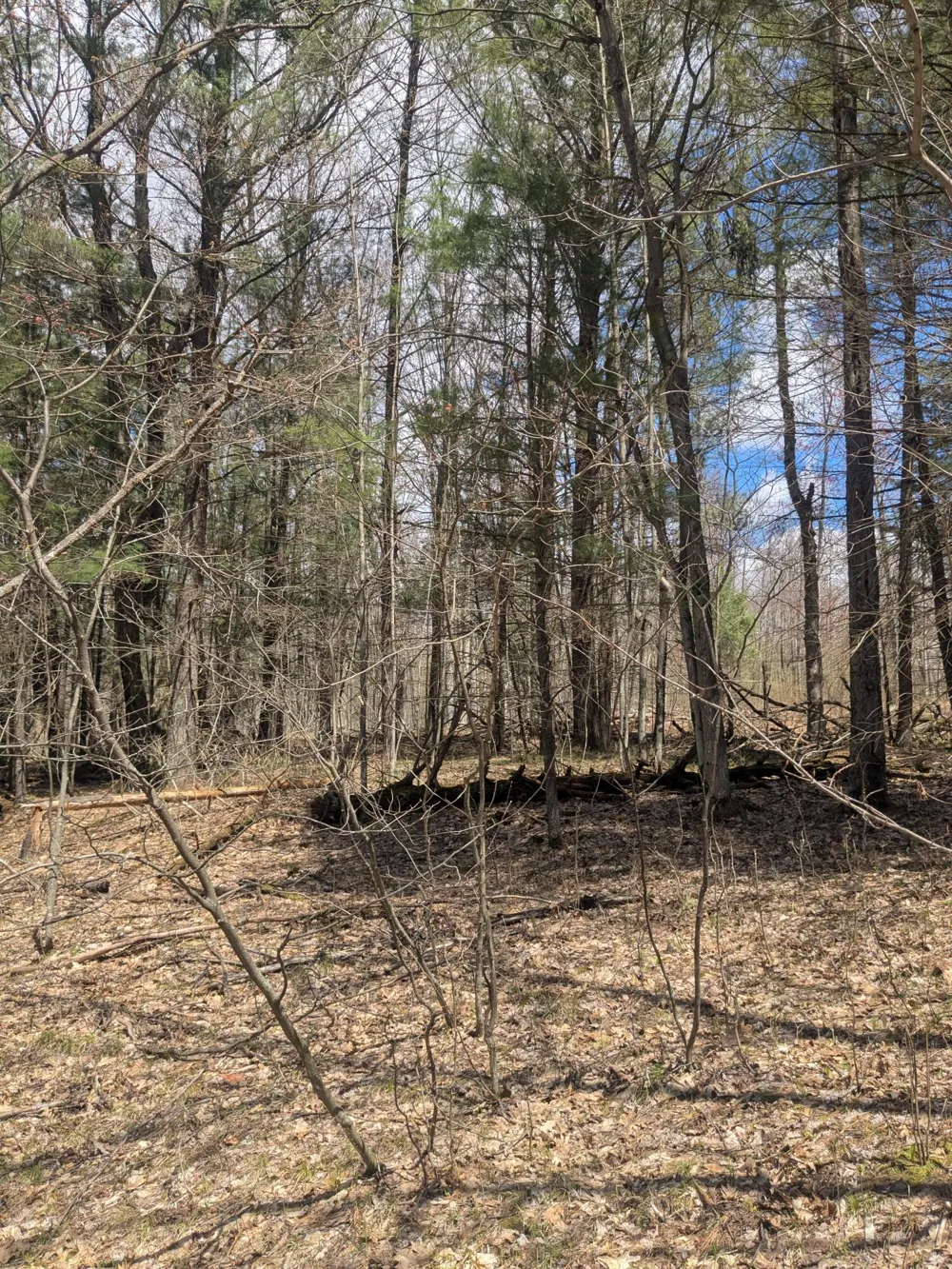 20179 Coates Highway Brethren, MI 49619