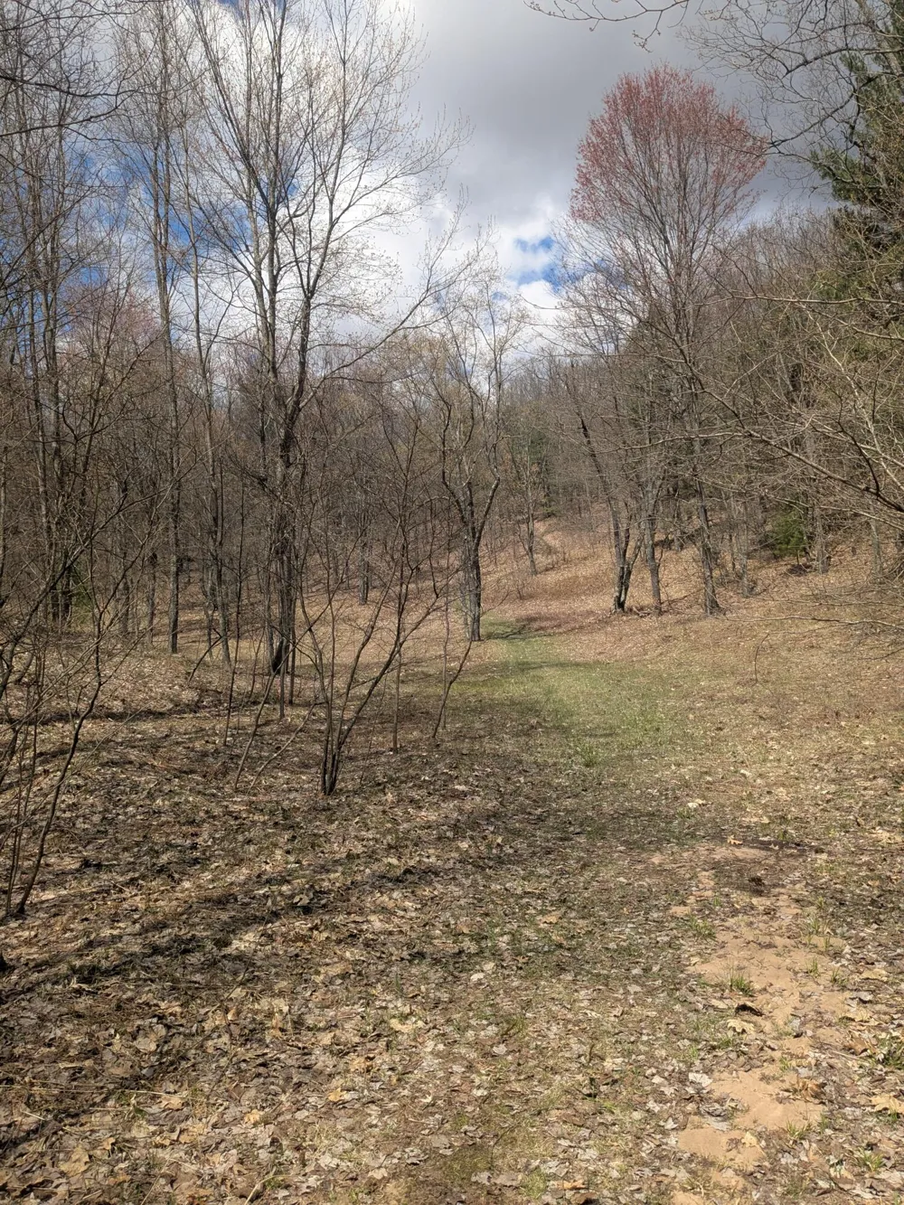 20179 Coates Highway Brethren, MI 49619