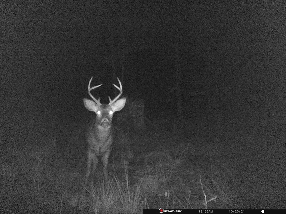 20179 Coates Highway Brethren, MI 49619