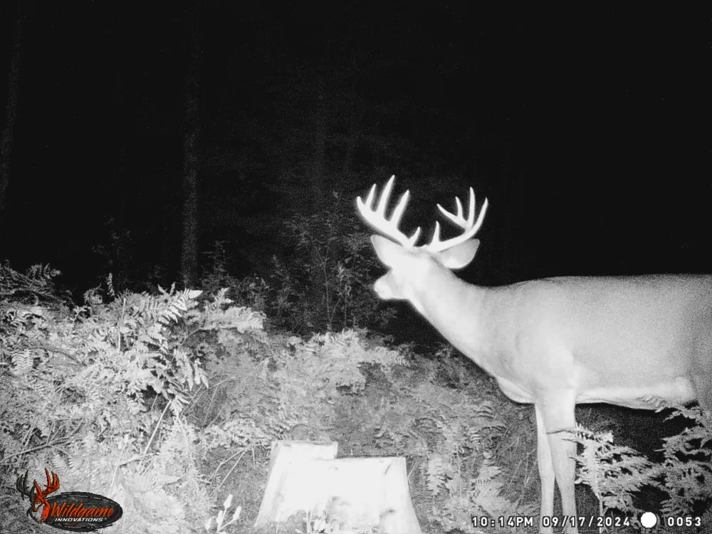 20179 Coates Highway Brethren, MI 49619