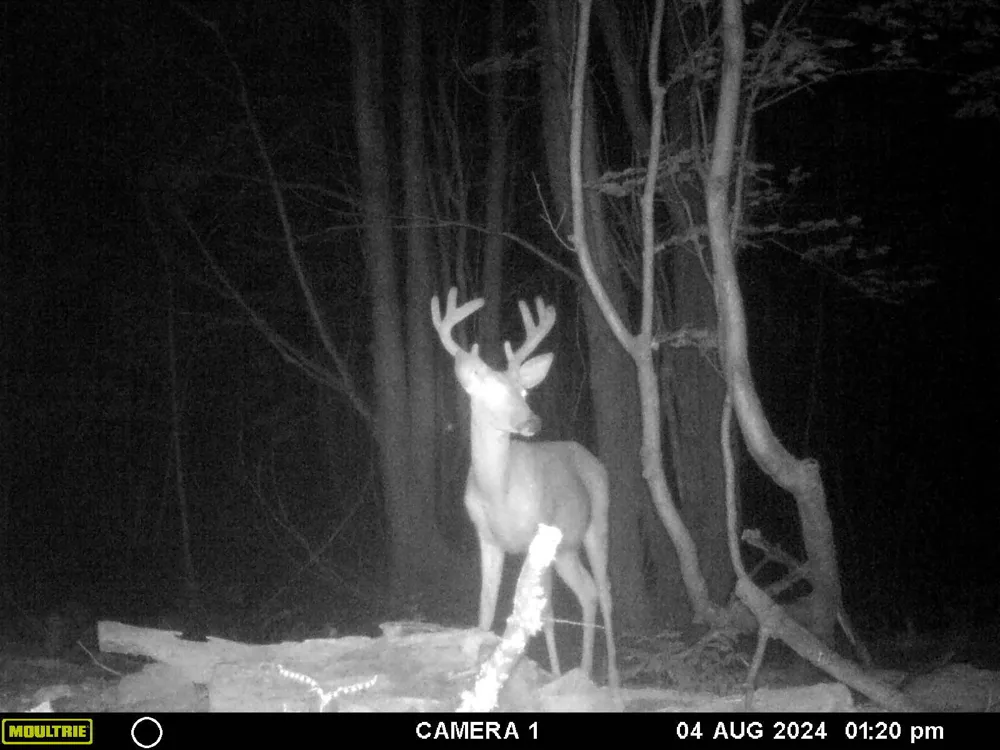 20179 Coates Highway Brethren, MI 49619