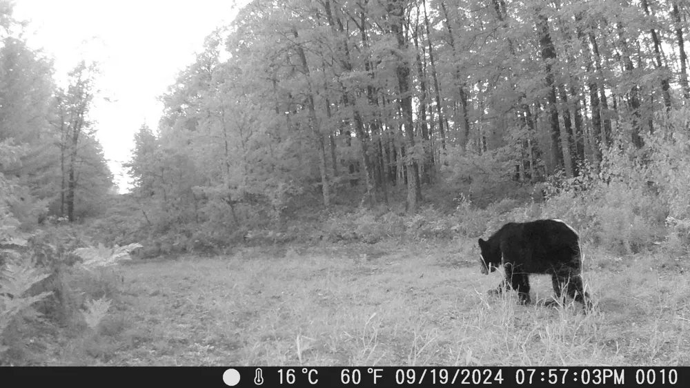 20179 Coates Highway Brethren, MI 49619