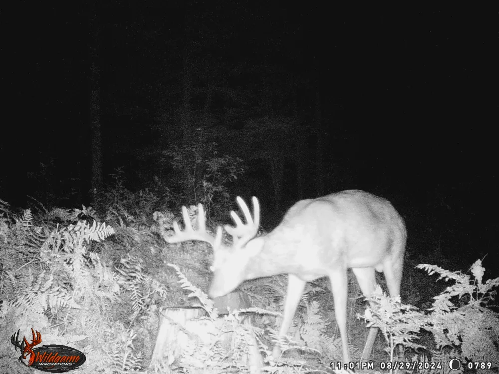 20179 Coates Highway Brethren, MI 49619
