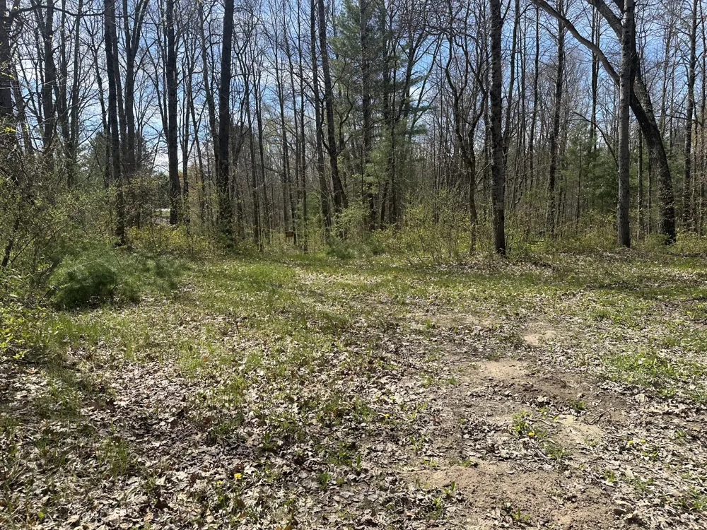 S Shepperd Road Branch, MI 49402