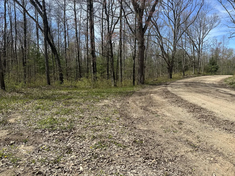 S Shepperd Road Branch, MI 49402