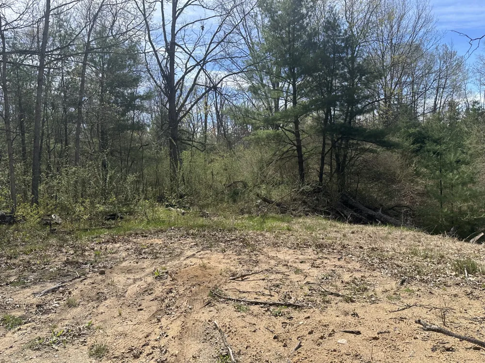 S Shepperd Road Branch, MI 49402