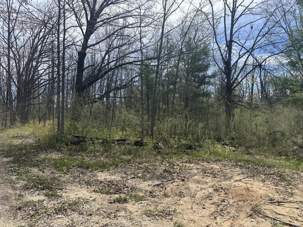 S Shepperd Road Branch, MI 49402