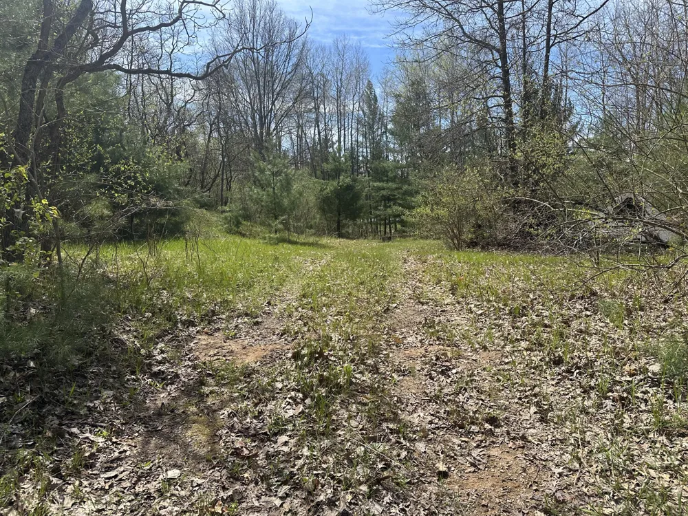 S Shepperd Road Branch, MI 49402