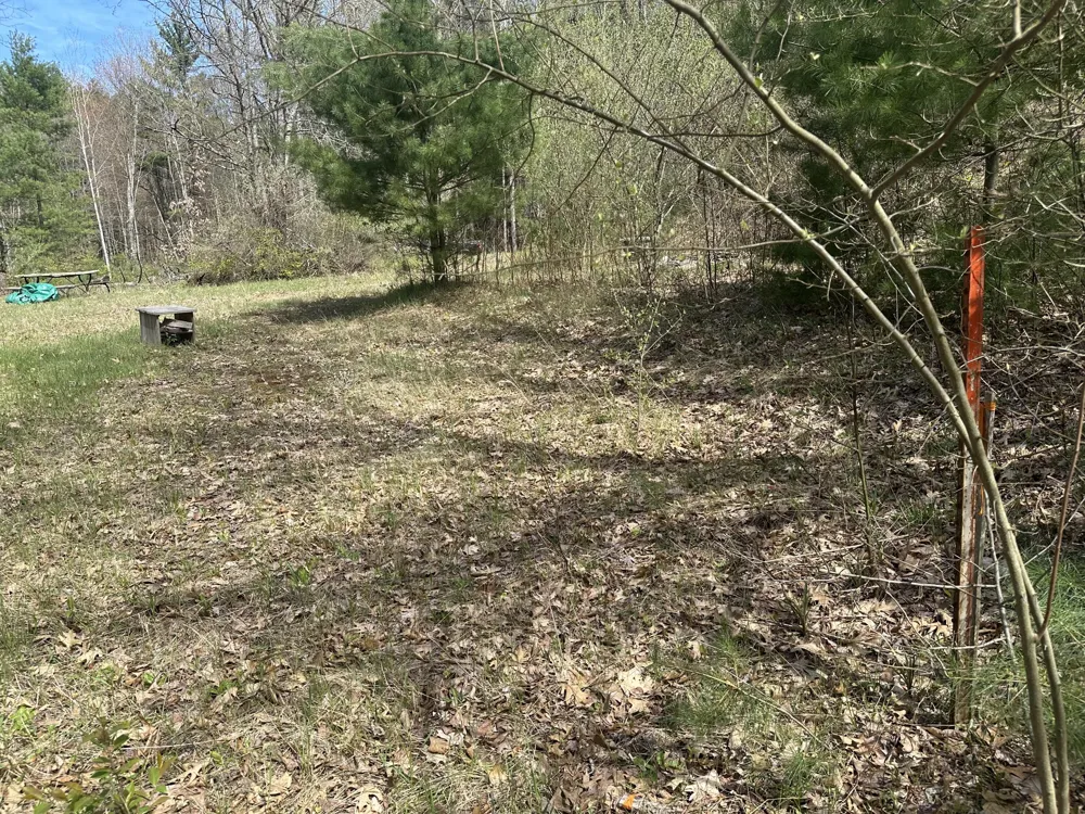 S Shepperd Road Branch, MI 49402