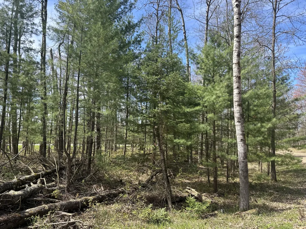 S Shepperd Road Branch, MI 49402