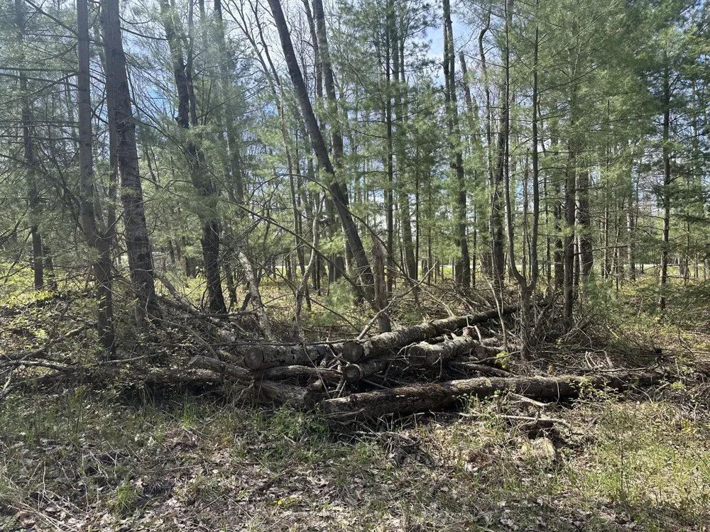 S Shepperd Road Branch, MI 49402