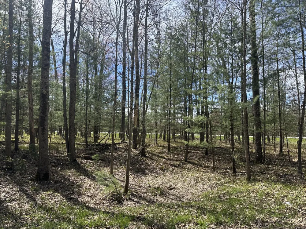 S Shepperd Road Branch, MI 49402