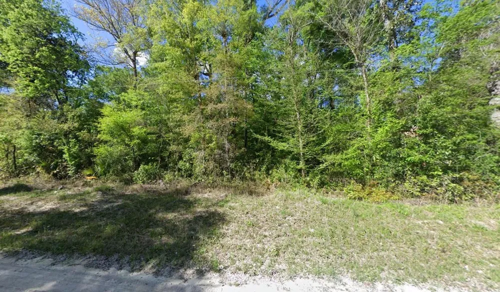 11 NE 717TH ST Old Town, FL 32680