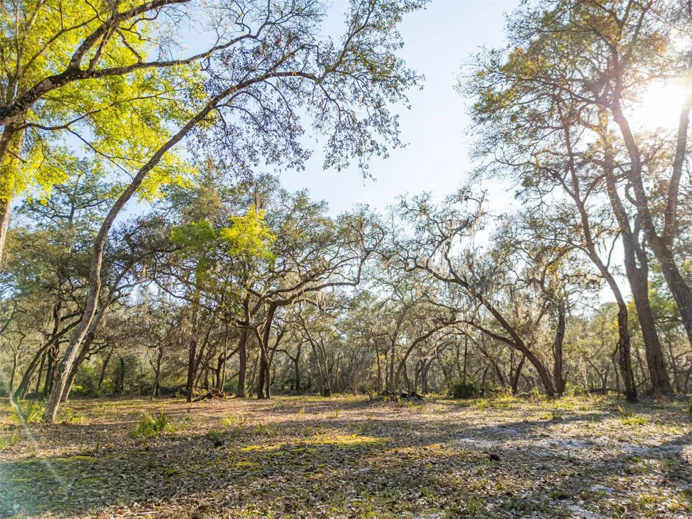 8600 NE 147TH AVENUE ROAD Silver Springs, FL 34488