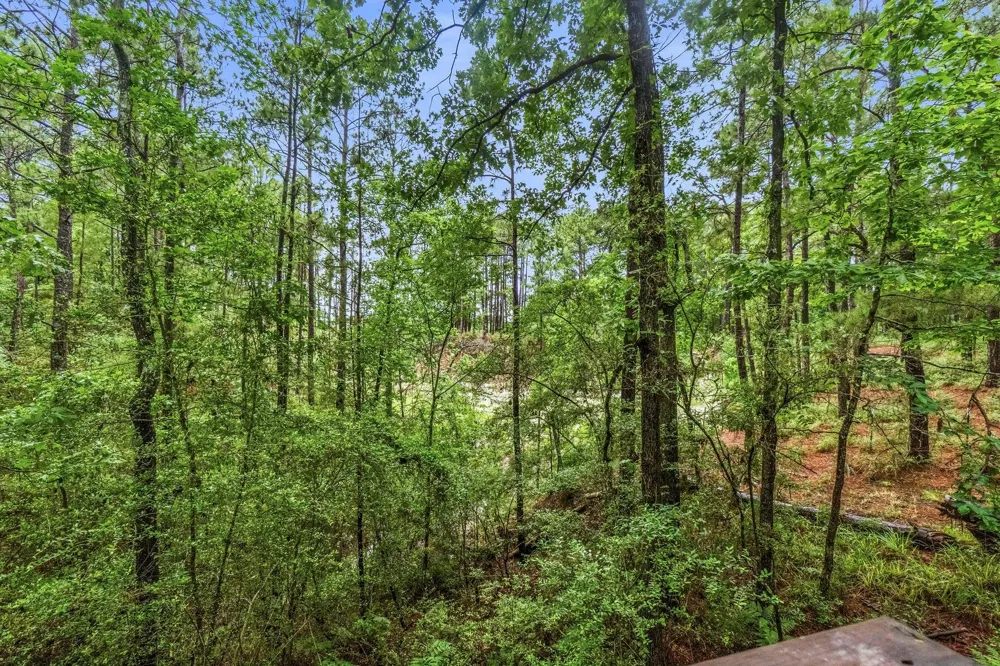 465 Creek Drive Onalaska, TX 77360
