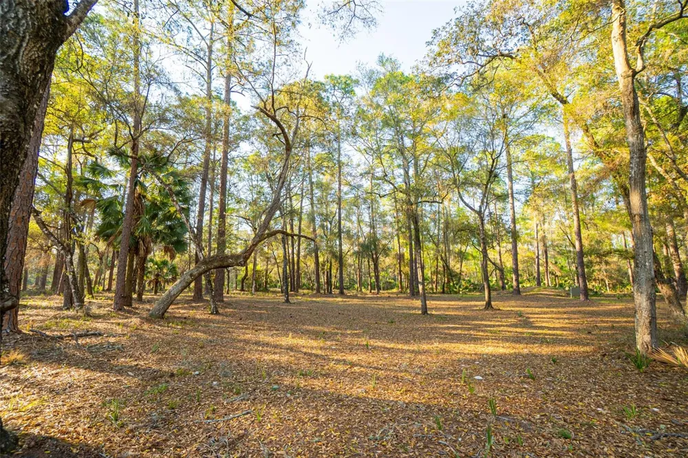 8600 NE 147TH AVENUE ROAD Silver Springs, FL 34488