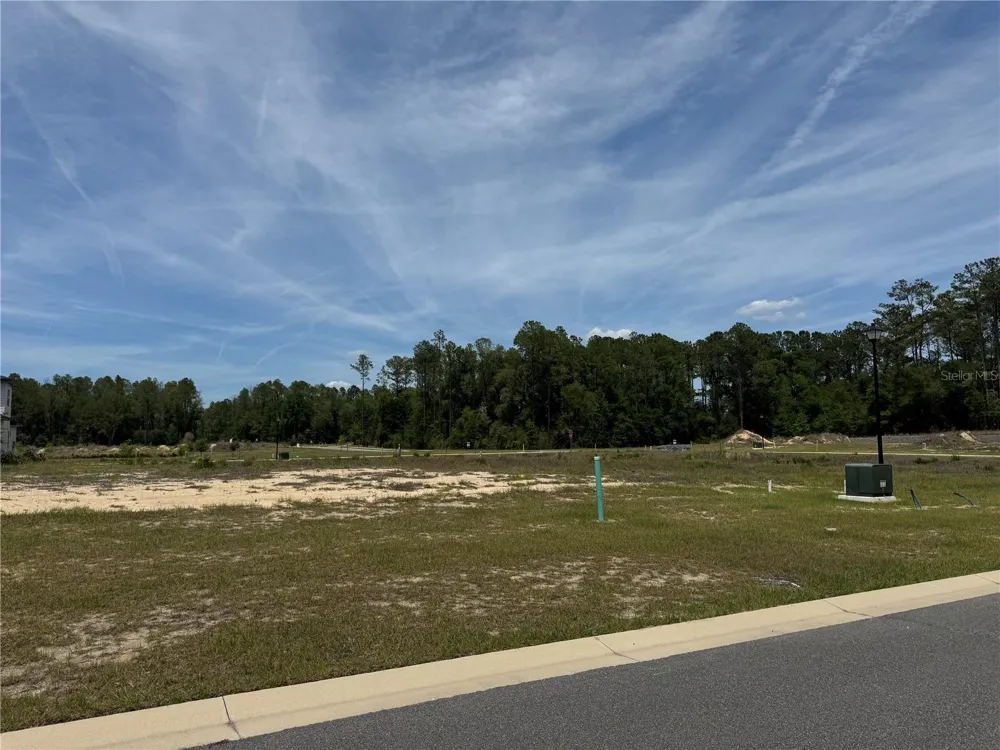 14772 SW 11TH PLACE Newberry, FL 32669