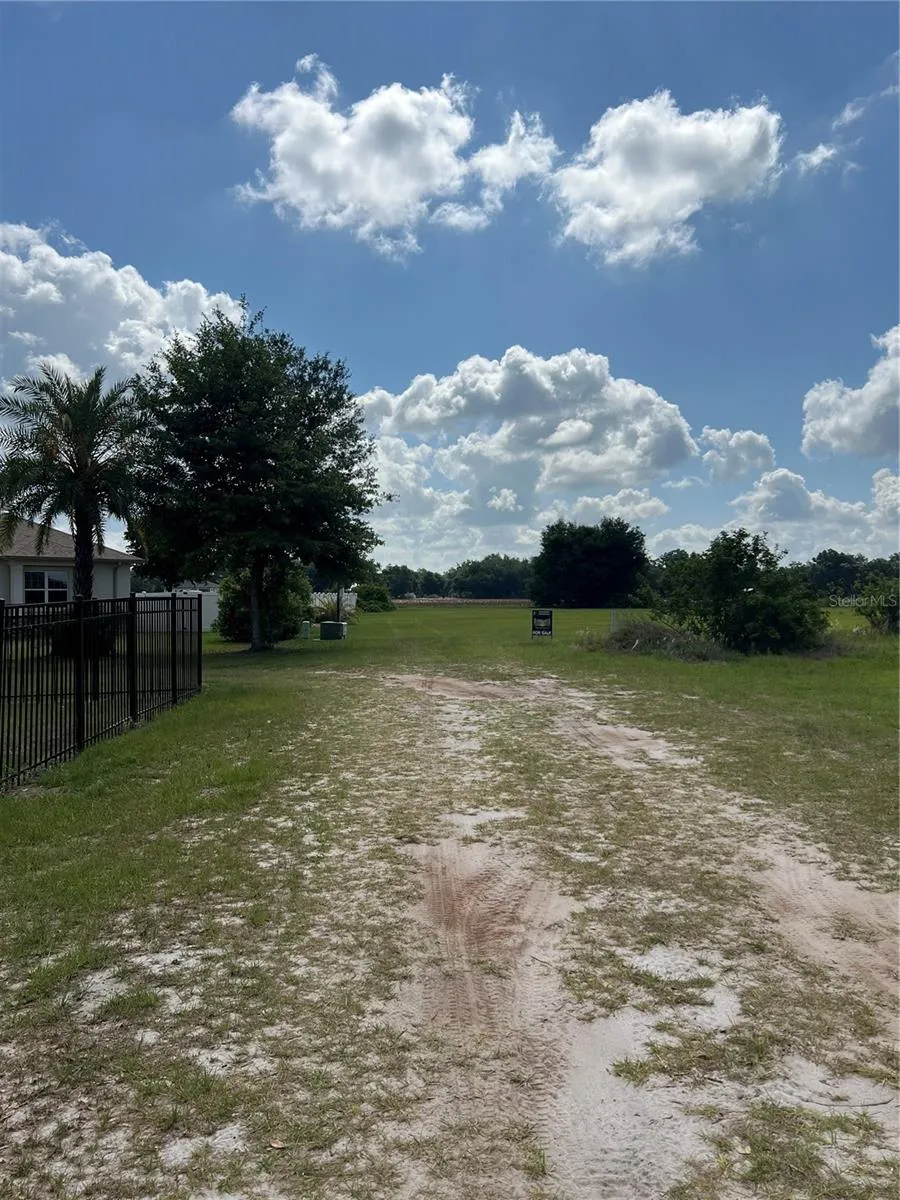 13419 COCOPAH LANE Dover, FL 33527