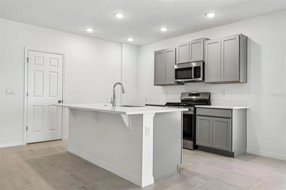 24550 HODGES RESERVE AVENUE Howey In The Hills, FL 34737
