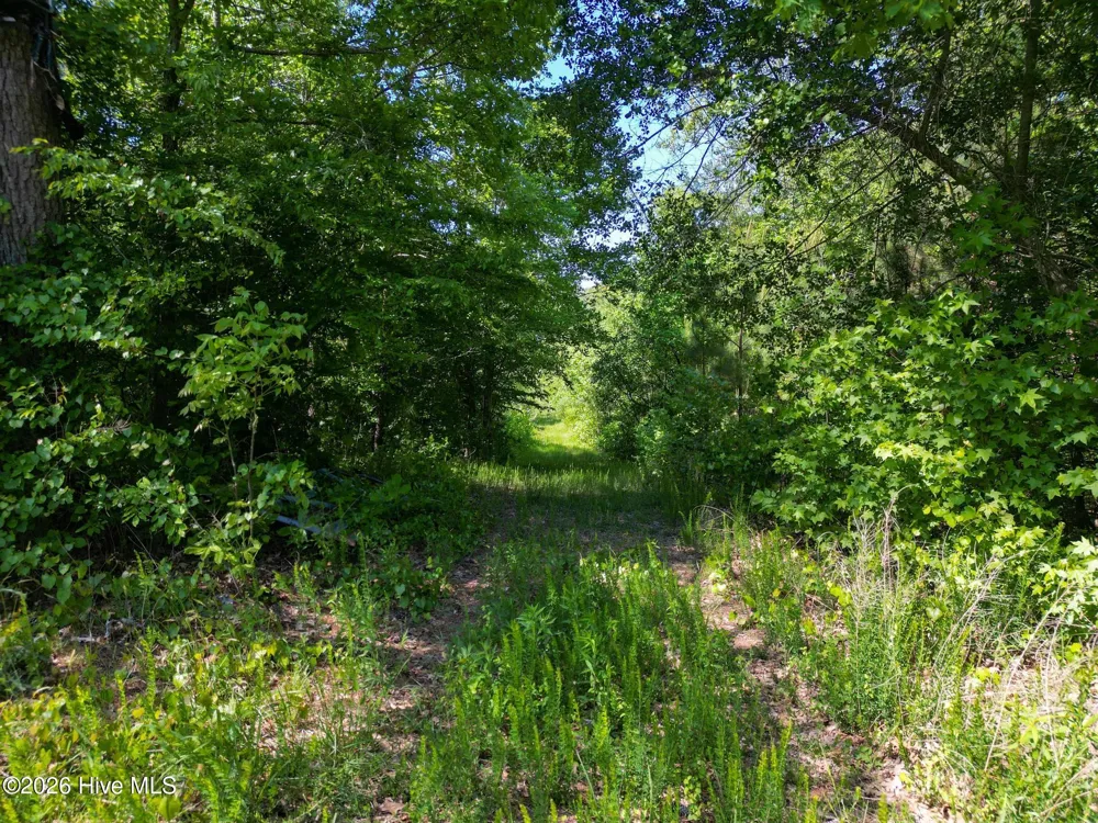 Lot 7 Kestrel Lane Camden, NC 27921