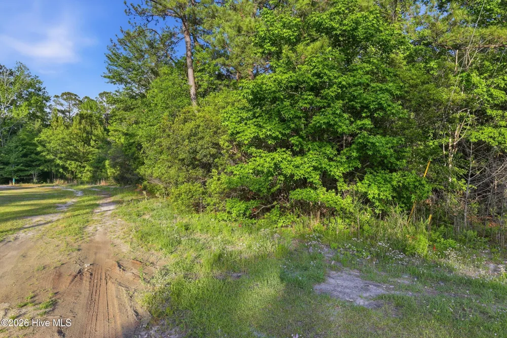 Tr3 E Dunn Street Sneads Ferry, NC 28460