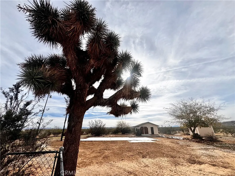 382 Bowman Trail Landers, CA 92285