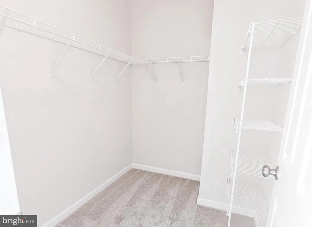 126 SWANSONG PLACE Winchester, VA 22603