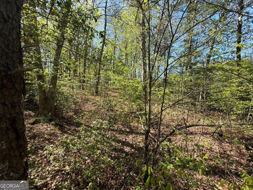 0 Windfield CIR Blue Ridge, GA 30513