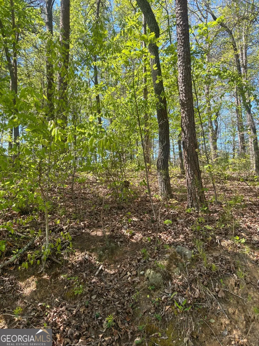 0 Windfield CIR Blue Ridge, GA 30513