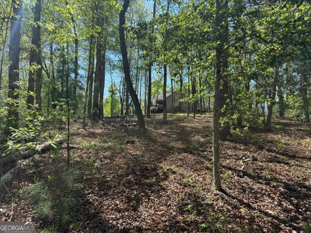0 Windfield CIR Blue Ridge, GA 30513