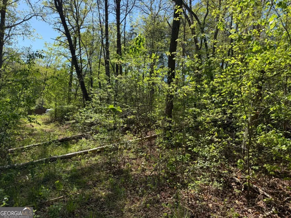 0 Windfield CIR Blue Ridge, GA 30513