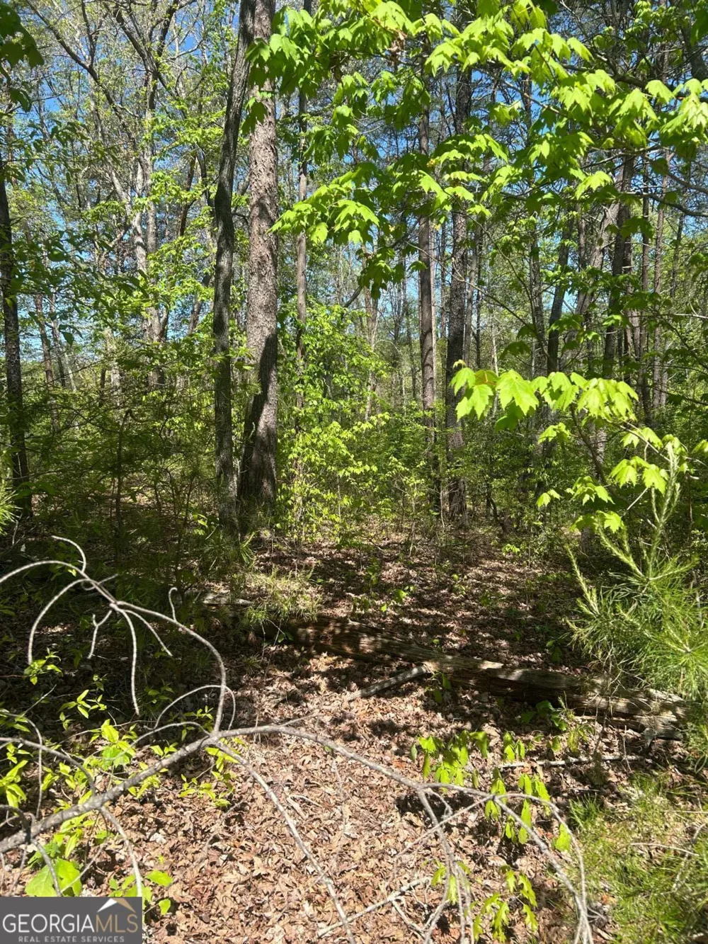 0 Windfield CIR Blue Ridge, GA 30513