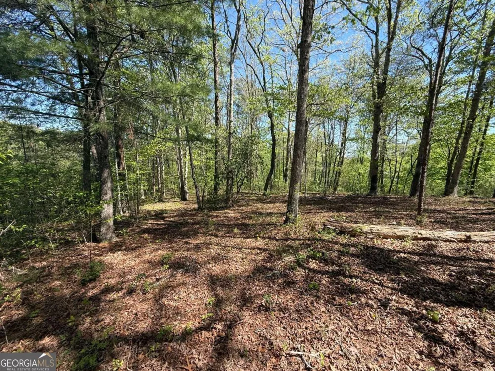 0 Windfield CIR Blue Ridge, GA 30513