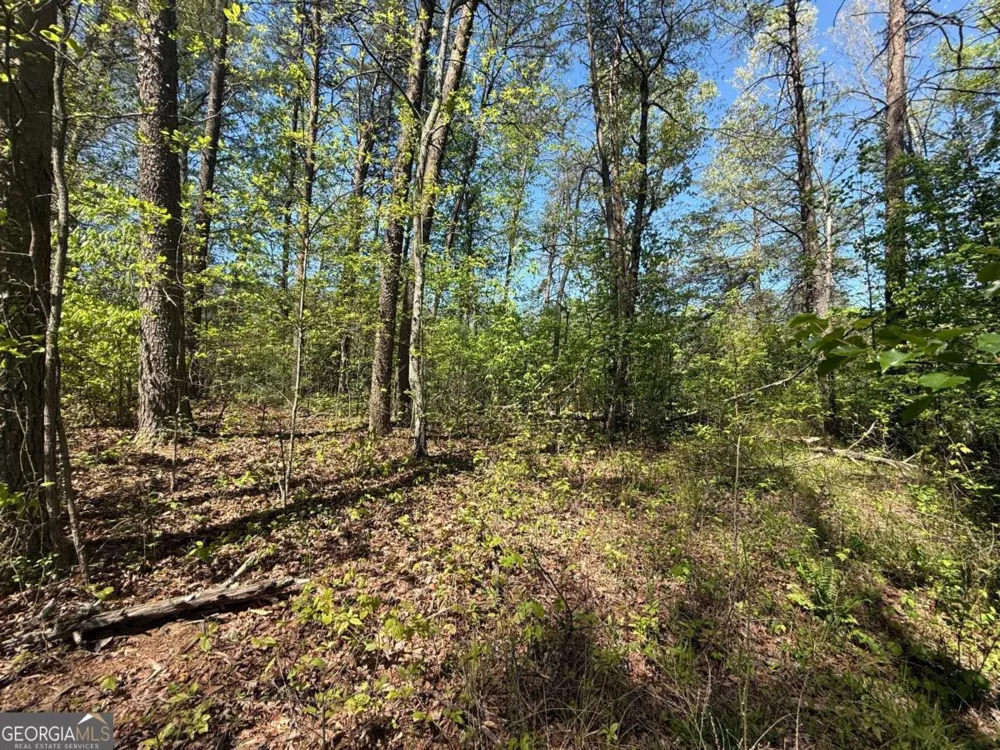 0 Windfield CIR Blue Ridge, GA 30513