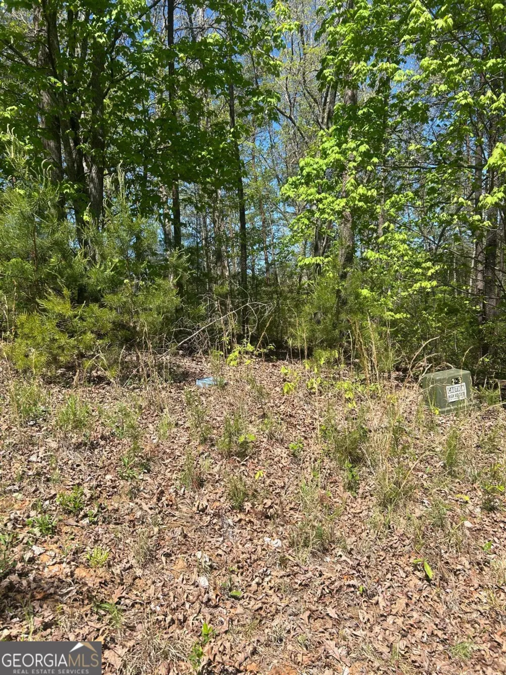 0 Windfield CIR Blue Ridge, GA 30513