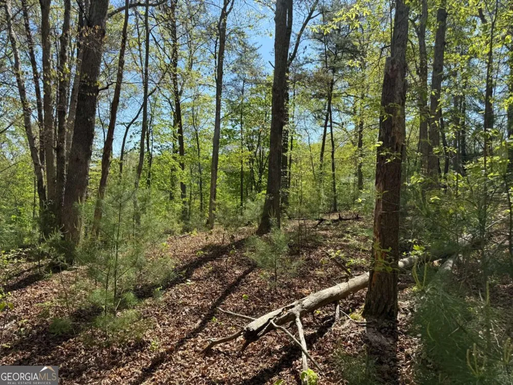0 Windfield CIR Blue Ridge, GA 30513