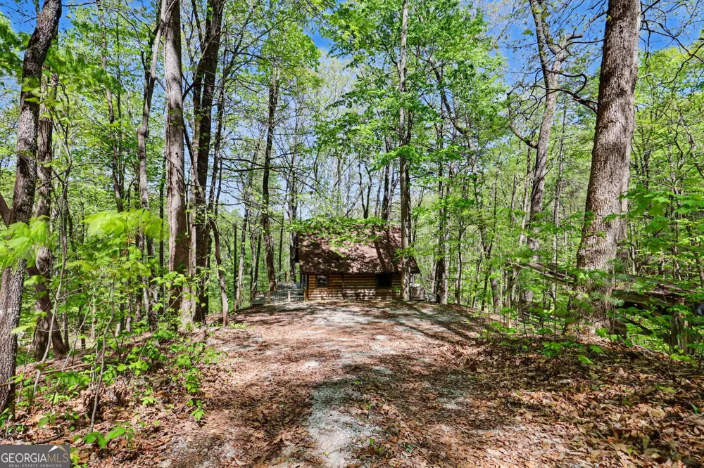 772 Glassy MTN Tiger, GA 30576