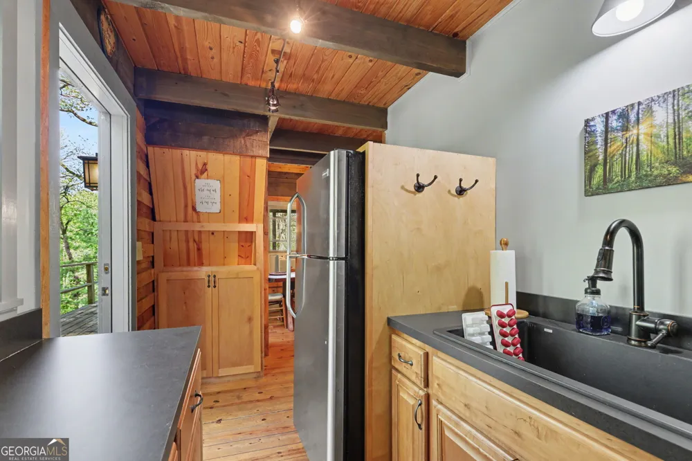772 Glassy MTN Tiger, GA 30576