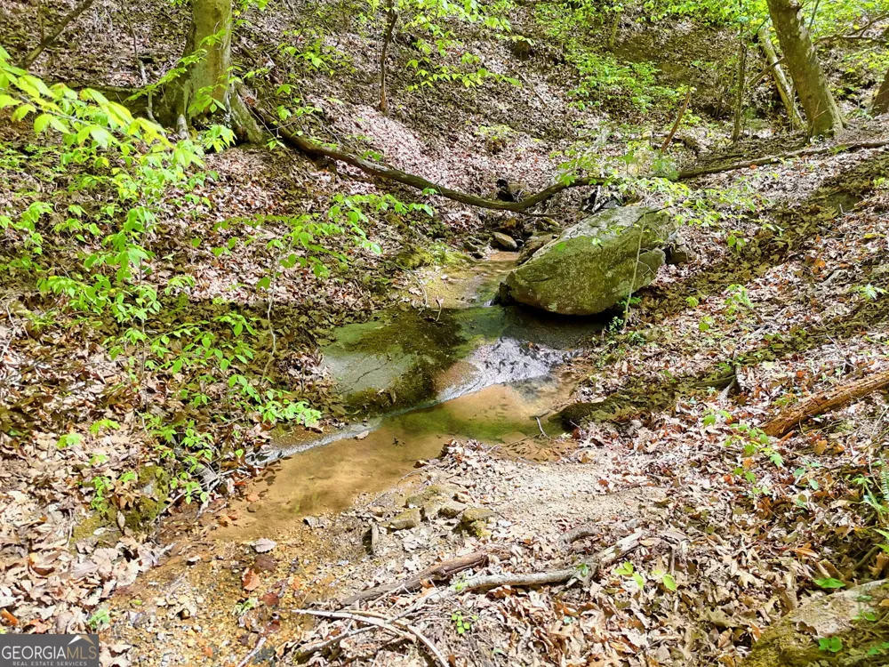 772 Glassy MTN Tiger, GA 30576