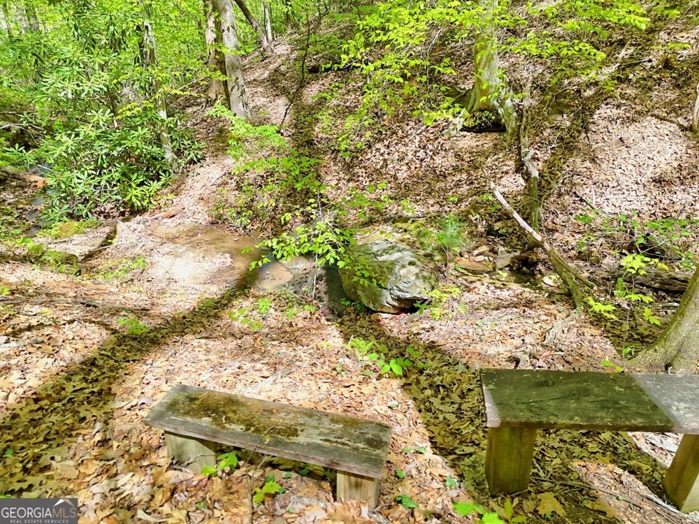 772 Glassy MTN Tiger, GA 30576