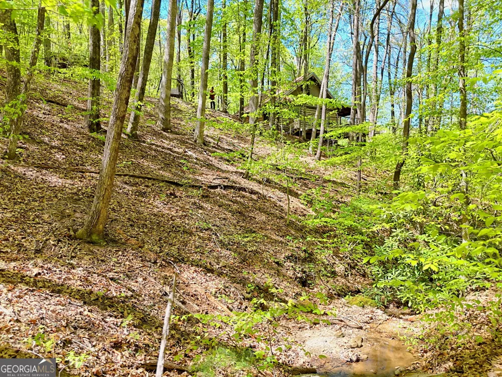 772 Glassy MTN Tiger, GA 30576