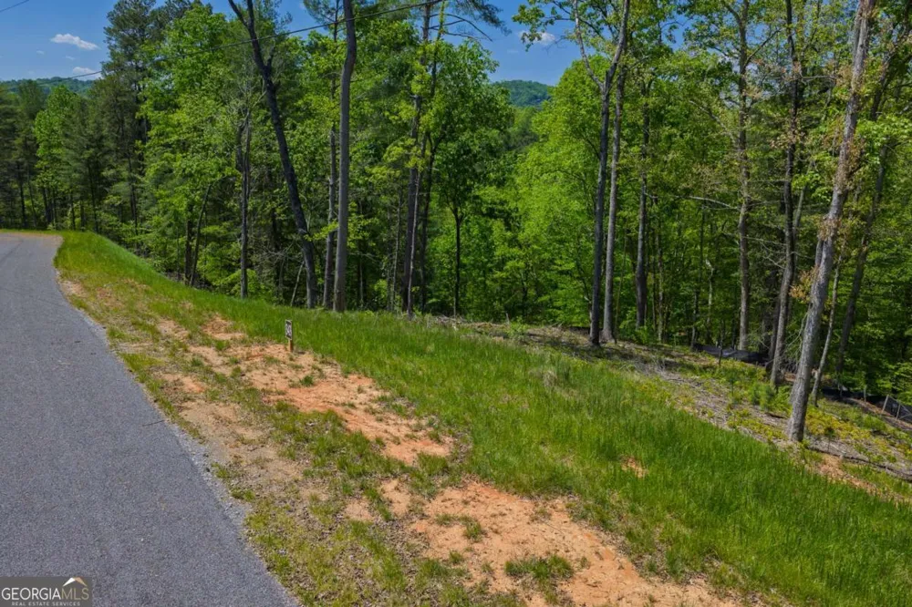 LOT 343 Shallow Branch DR Talking Rock, GA 30175
