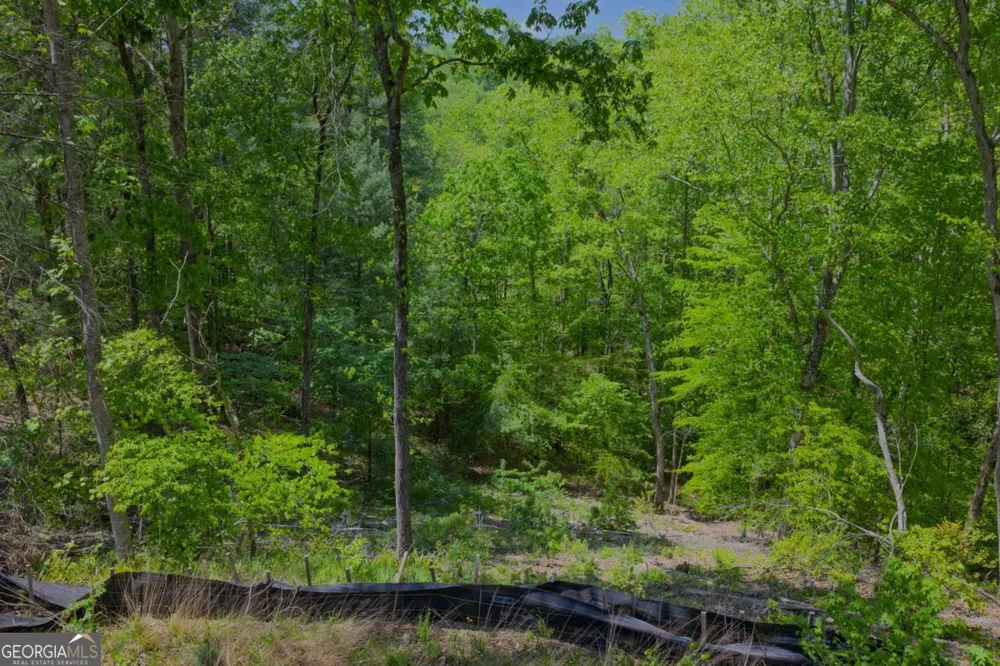 LOT 343 Shallow Branch DR Talking Rock, GA 30175