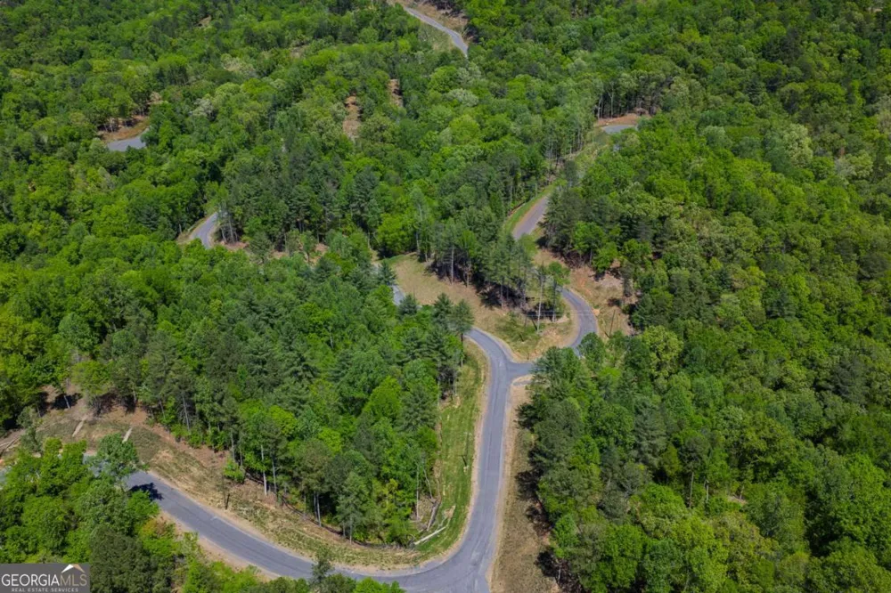 LOT 343 Shallow Branch DR Talking Rock, GA 30175