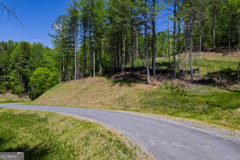 LOT 343 Shallow Branch DR Talking Rock, GA 30175
