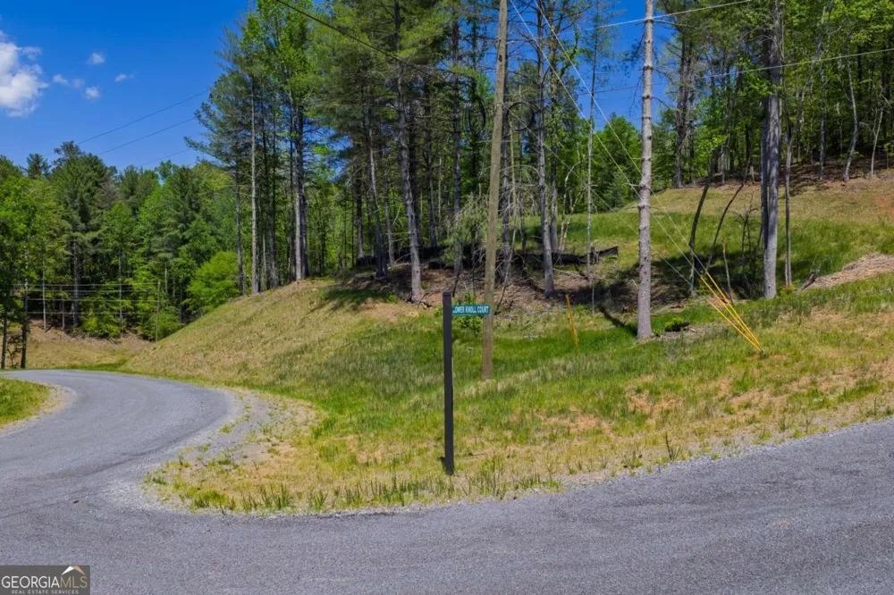 LOT 343 Shallow Branch DR Talking Rock, GA 30175